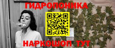 ECSTASY Бийск