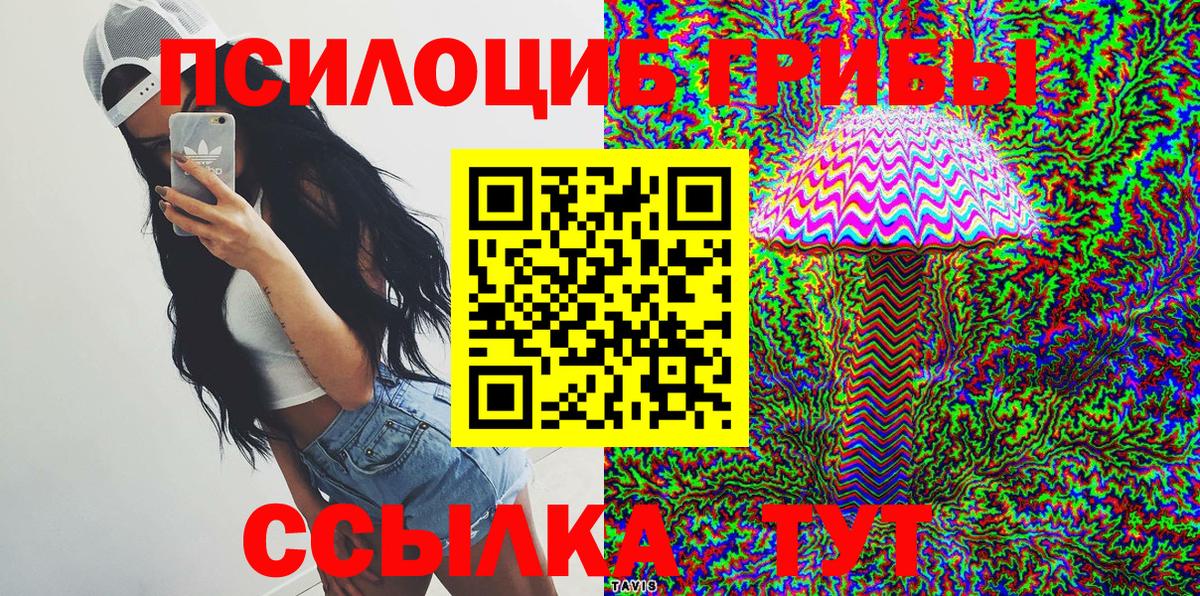 Карачаевск  Галлюциногенные грибы Psilocybe  Вход с VPN 