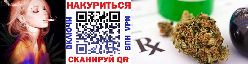 Бошки Шишки семена  купить  сайты  Карачаевск 