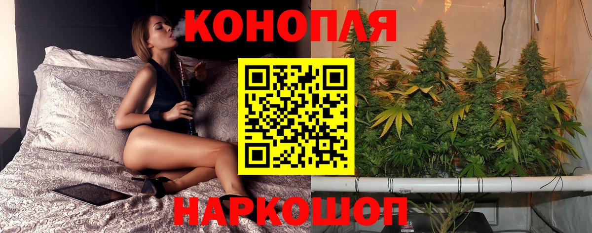 Карачаевск  Шишки марихуана план  Бошки марихуана VHQ  Вход с VPN  Конопля гибрид  Конопля марихуана 